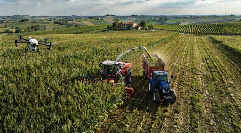 Campo_prova_foraggere-18-09-26